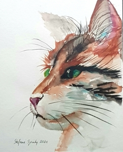 Katzenportrait